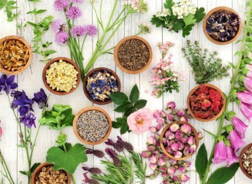 6 Herbs to Boost Mood