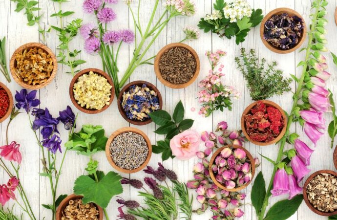 6 Herbs to Boost Mood